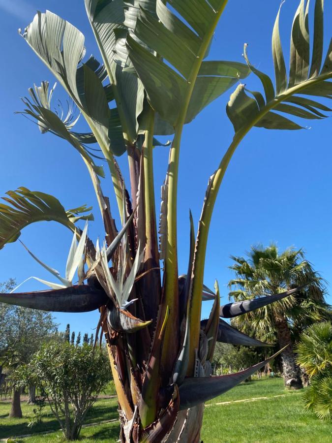 Villa Culla Di Jana Alghero Exteriér fotografie