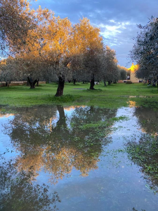Villa Culla Di Jana Alghero Exteriér fotografie